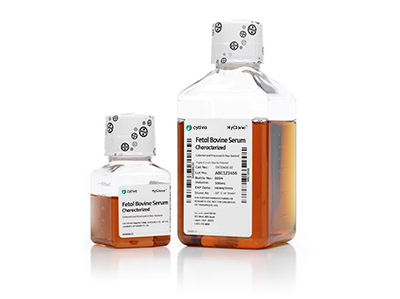HyClone 优级胎牛血清 (FBS)，源自新西兰 - 500 mL, HyClone Characterized FBS, NZ Origin, 500 mL (China)
