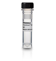 Amersham QuickStain 蛋白标记试剂盒