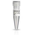 ECL Plex™ FL荧光彩虹蛋白分子量标准Marker