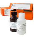 ECL™ Prime试剂 100 mL
