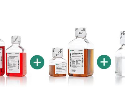 经典培养基 + 胎牛血清 + 青链霉素 + 谷氨酰胺